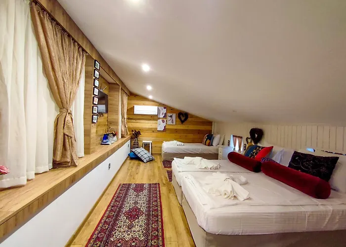 Casa La Tinozza Хисаря